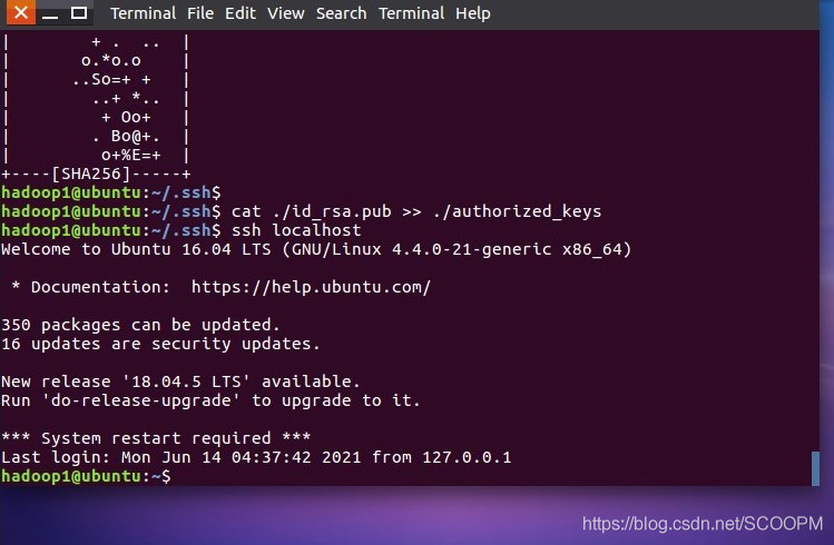 新手Hadoop安装 环境搭建