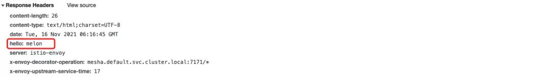 聊聊 Wasm 扩展 Envoy 使用详解