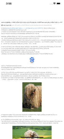 iOS中WKWebView的一些特殊使用总结