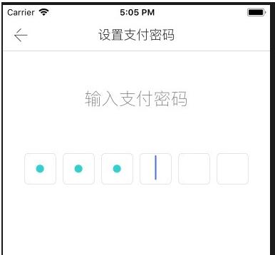 iOS 输入验证码或密码,自动下一位的实例