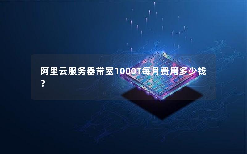阿里云服务器带宽1000T每月费用多少钱？