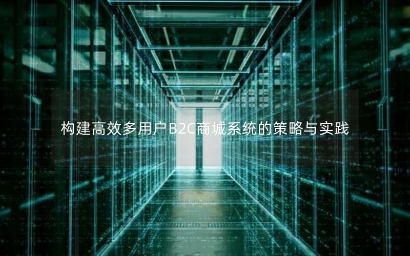构建高效多用户B2C商城系统的策略与实践