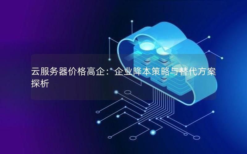 云服务器价格高企：企业降本策略与替代方案探析