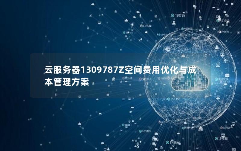 云服务器1309787Z空间费用优化与成本管理方案