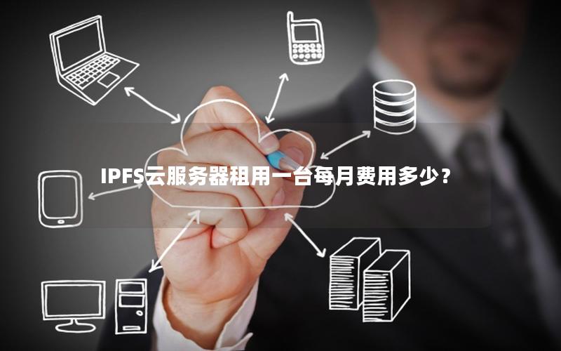 IPFS云服务器租用一台每月费用多少？