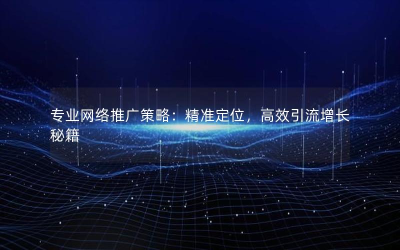 专业网络推广策略：精准定位，高效引流增长秘籍