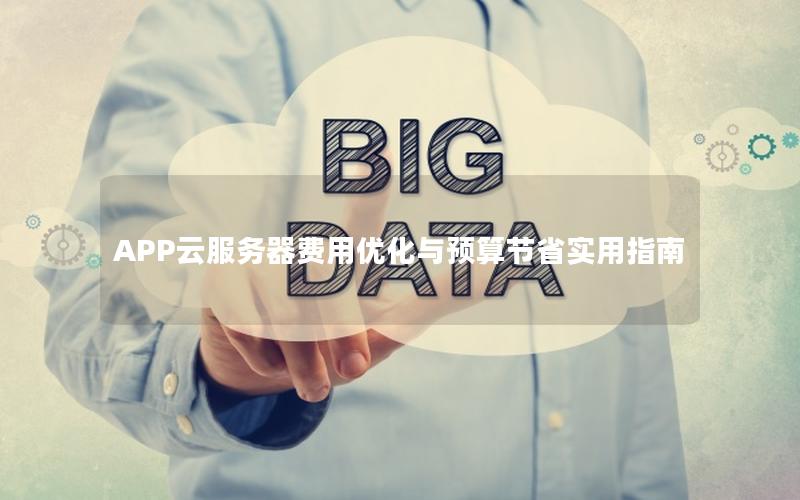 APP云服务器费用优化与预算节省实用指南