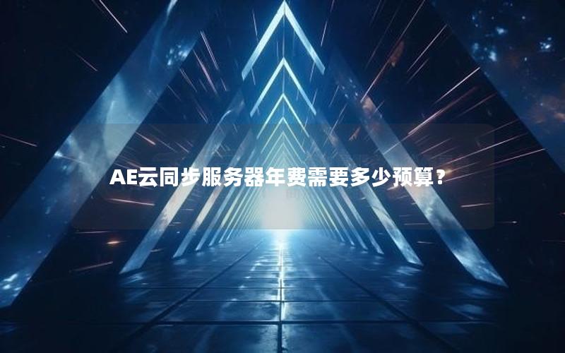 AE云同步服务器年费需要多少预算？