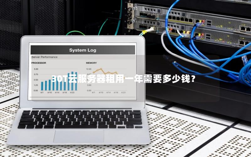 30T云服务器租用一年需要多少钱？