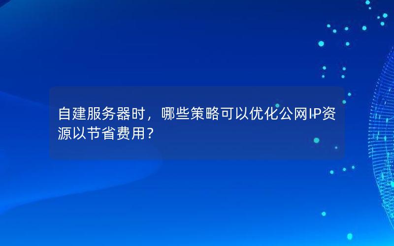 自建服务器时，哪些策略可以优化公网IP资源以节省费用？