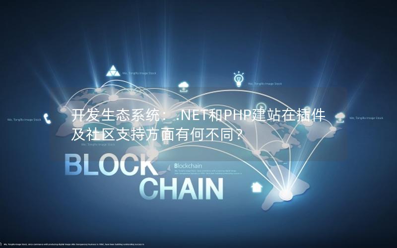 开发生态系统：.NET和PHP建站在插件及社区支持方面有何不同？