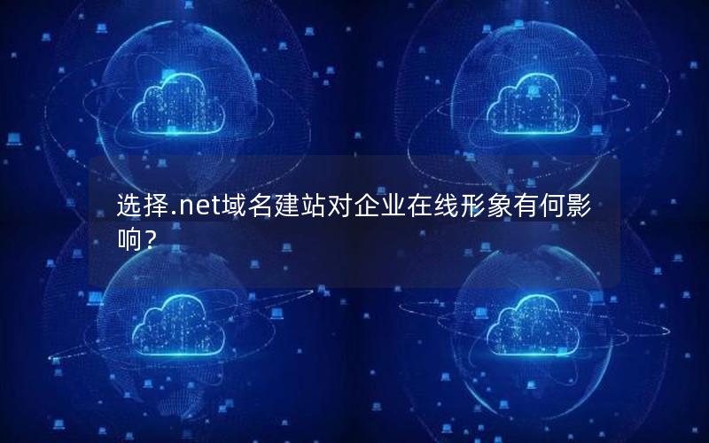 选择.net域名建站对企业在线形象有何影响？