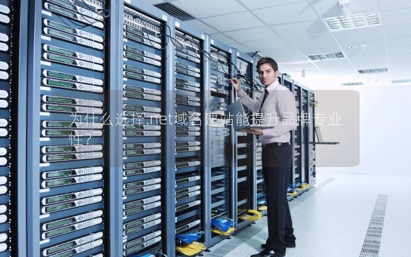 为什么选择.net域名建站能提升品牌专业性？