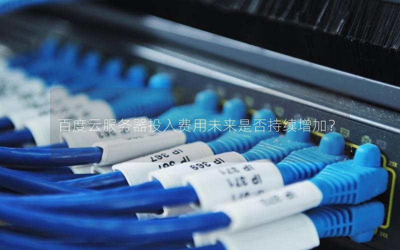 百度云服务器投入费用未来是否持续增加?