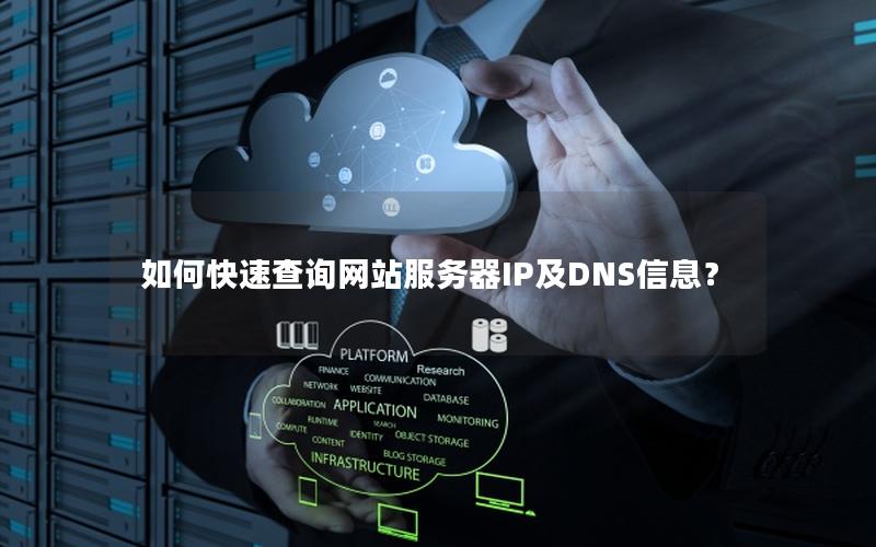 如何快速查询网站服务器IP及DNS信息？