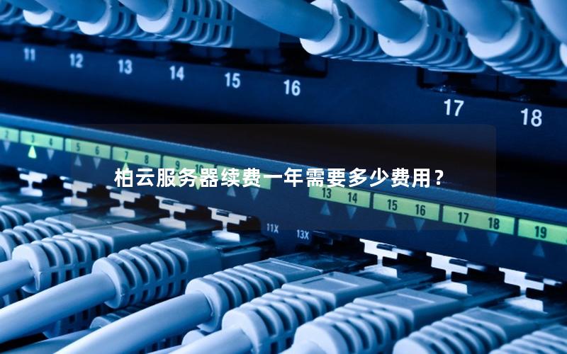 柏云服务器续费一年需要多少费用？