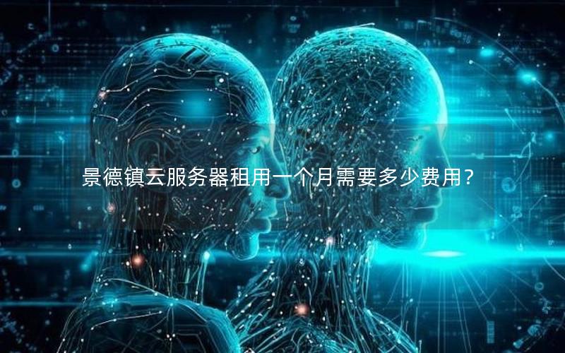景德镇云服务器租用一个月需要多少费用?