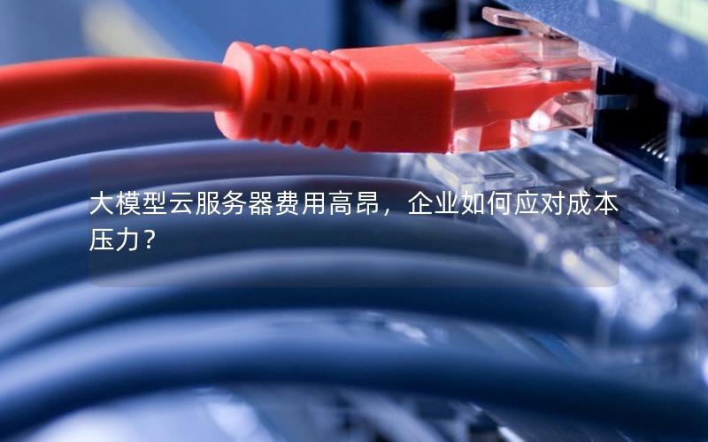 大模型云服务器费用高昂，企业如何应对成本压力？