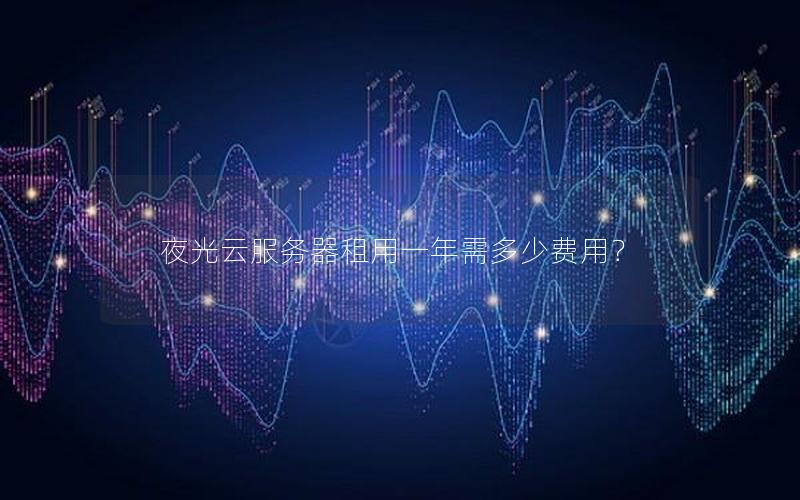 夜光云服务器租用一年需多少费用？