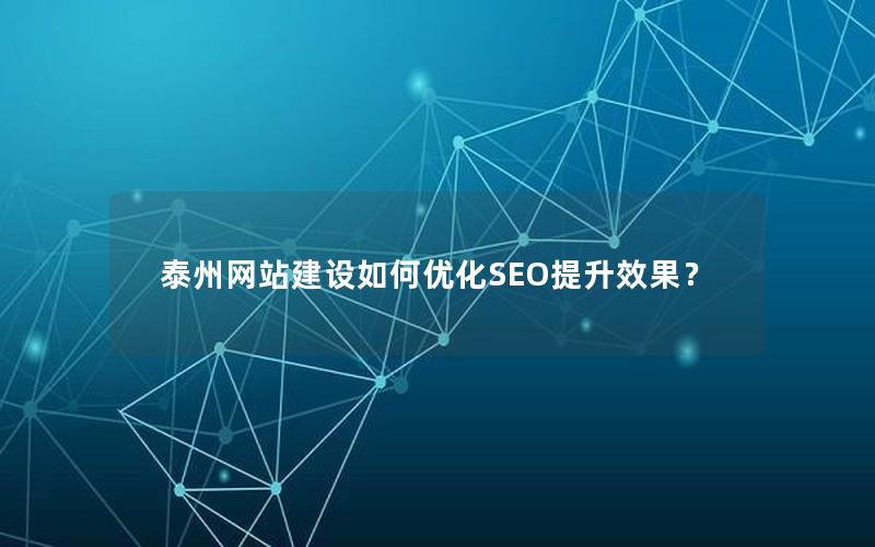 泰州网站建设如何优化SEO提升效果？