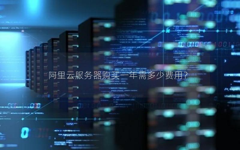 阿里云服务器购买一年需多少费用？