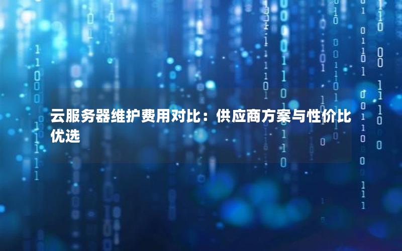 云服务器维护费用对比：供应商方案与性价比优选