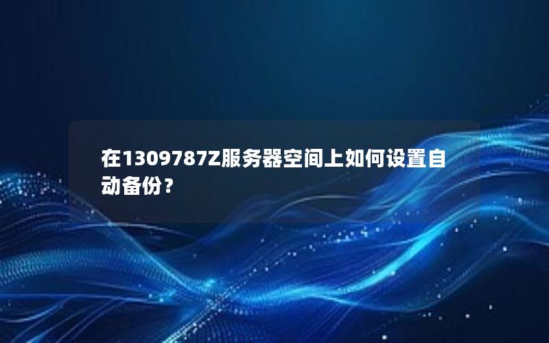 在1309787Z服务器空间上如何设置自动备份？