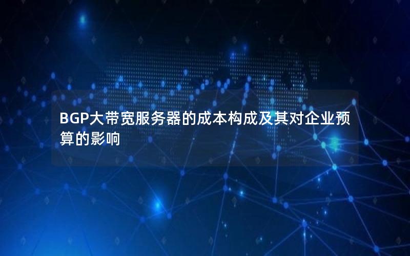 BGP大带宽服务器的成本构成及其对企业预算的影响