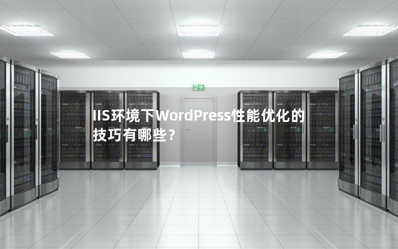 IIS环境下WordPress性能优化的技巧有哪些？