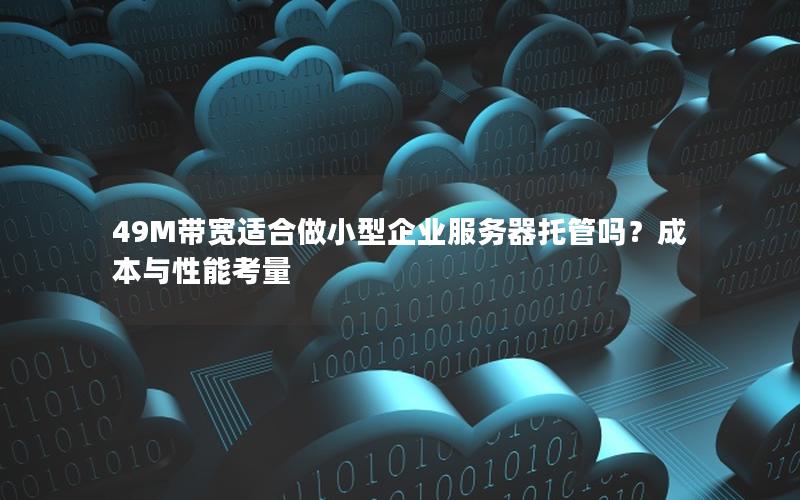 49M带宽适合做小型企业服务器托管吗?成本与性能考量