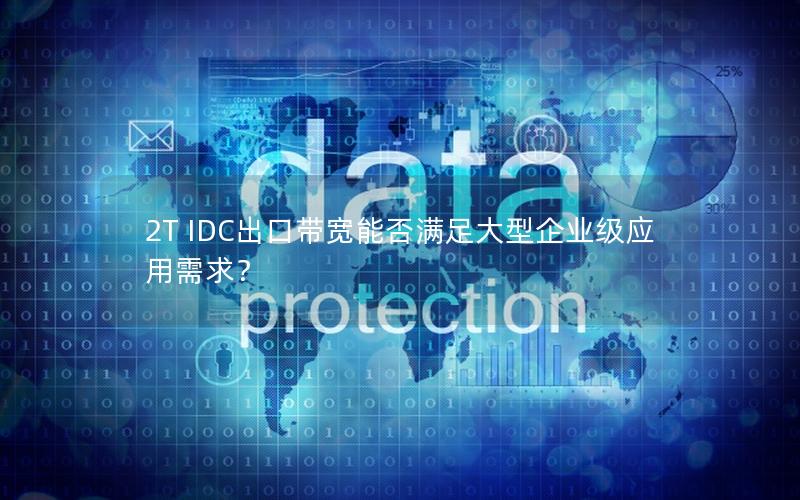 2T IDC出口带宽能否满足大型企业级应用需求？