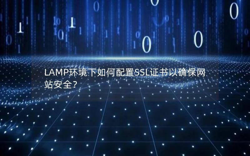LAMP环境下如何配置SSL证书以确保网站安全？