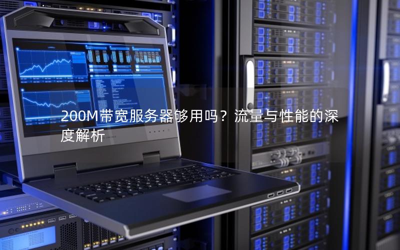 200M带宽服务器够用吗？流量与性能的深度解析