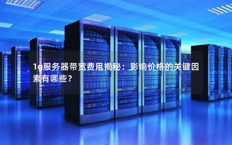 1g服务器带宽费用揭秘：影响价格的关键因素有哪些？