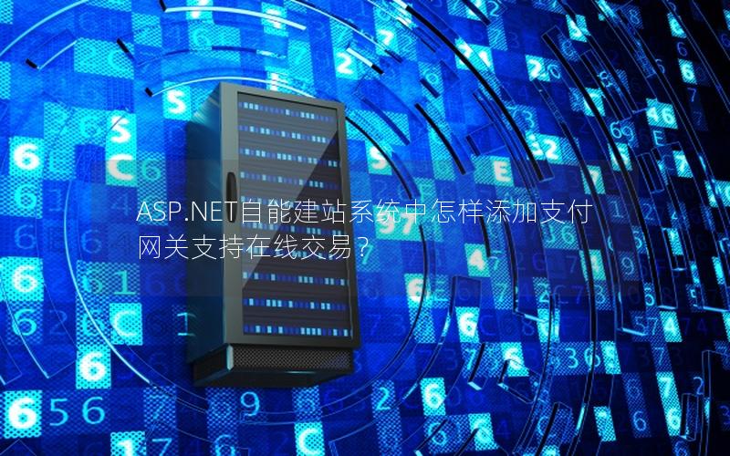 ASP.NET自能建站系统中怎样添加支付网关支持在线交易？