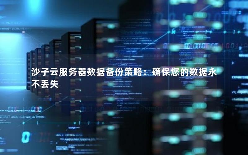 沙子云服务器数据备份策略：确保您的数据永不丢失