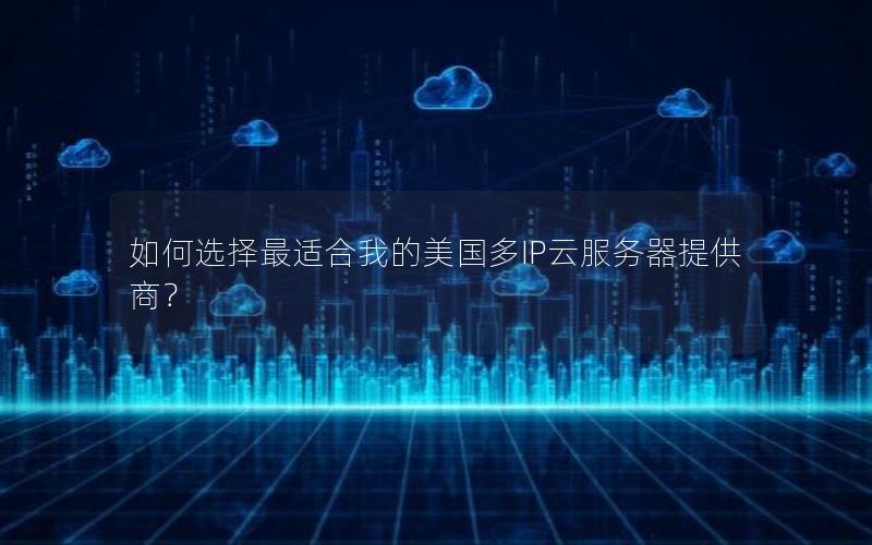 如何选择最适合我的美国多IP云服务器提供商？