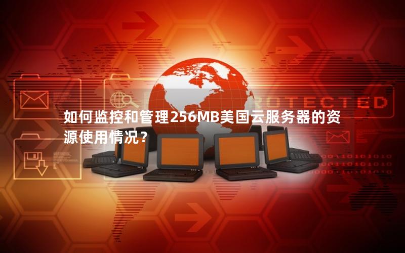 如何监控和管理256MB美国云服务器的资源使用情况?