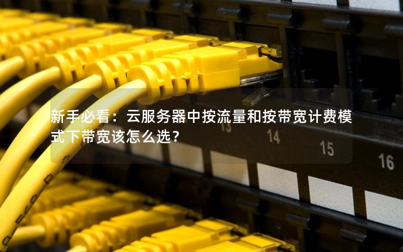 新手必看：云服务器中按流量和按带宽计费模式下带宽该怎么选？