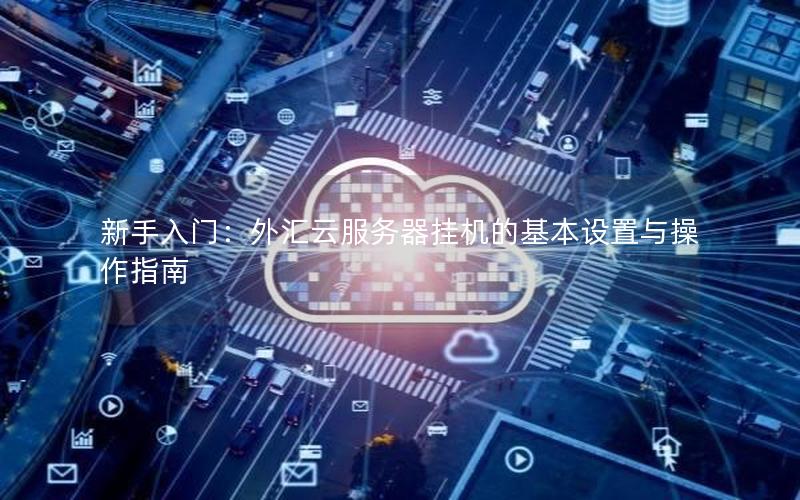 新手入门：外汇云服务器挂机的基本设置与操作指南