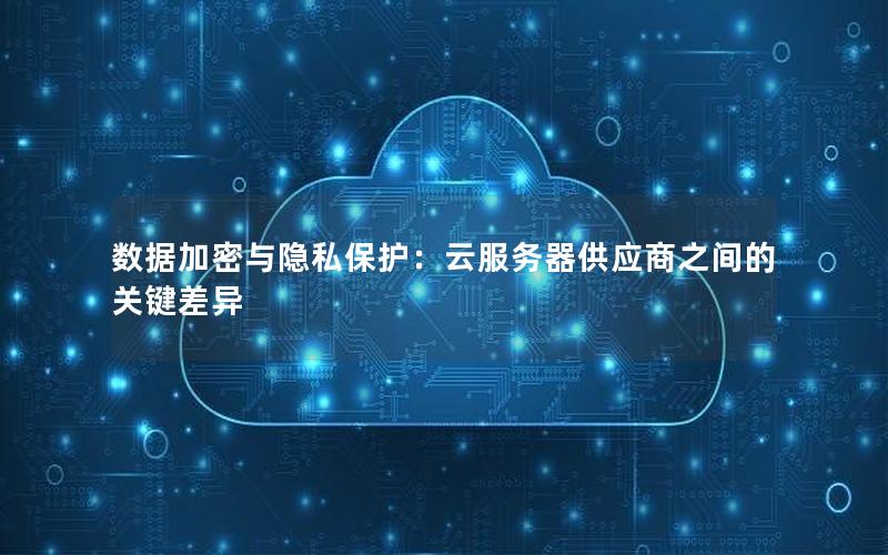 数据加密与隐私保护：云服务器供应商之间的关键差异