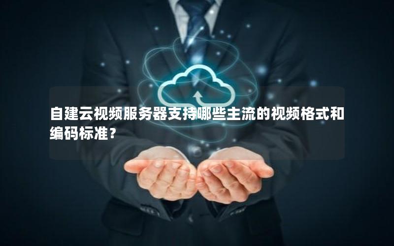 自建云视频服务器支持哪些主流的视频格式和编码标准？