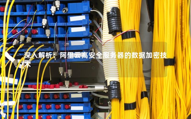 深入解析：阿里云高安全服务器的数据加密技术